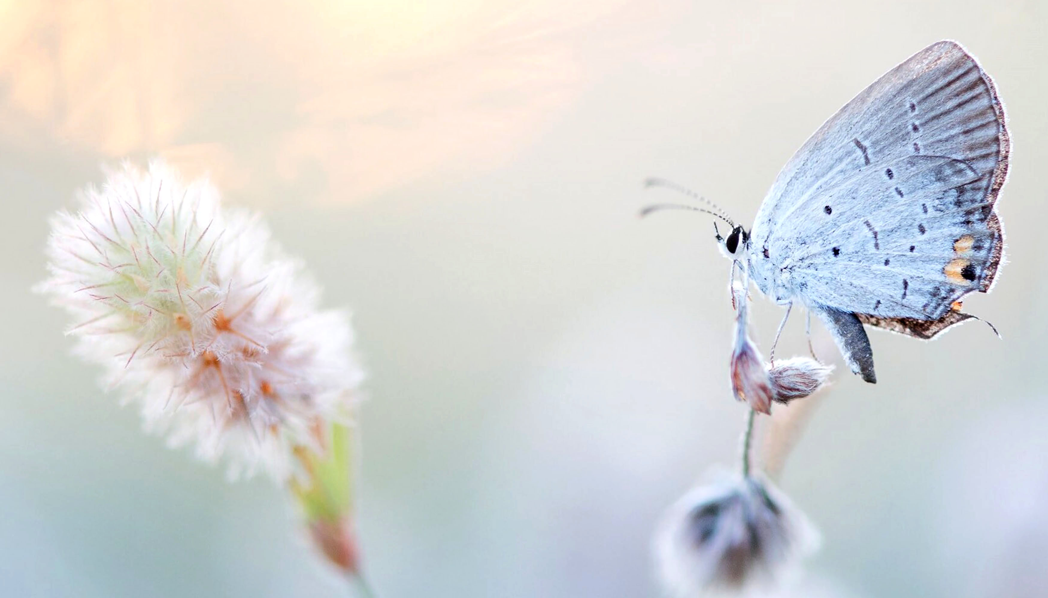 Praktijk Rozenhart Hero